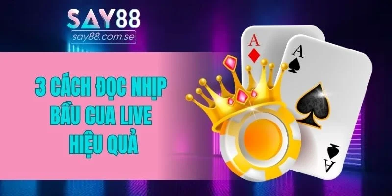 3 cách đọc nhịp bầu cua live hiệu quả