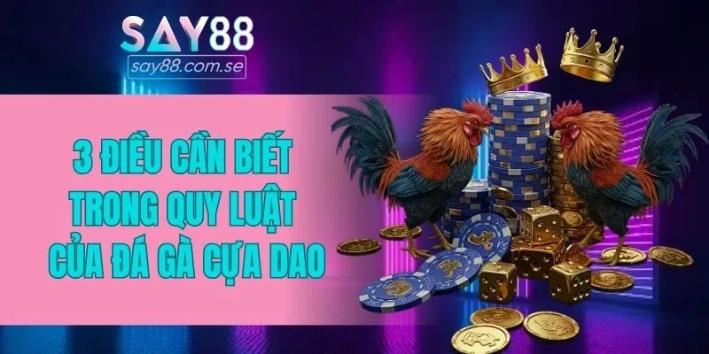 3 điều cần biết trong quy luật của đá gà cựa dao