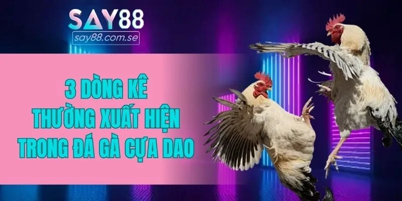 3 dòng kê thường xuất hiện trong đá gà cựa dao