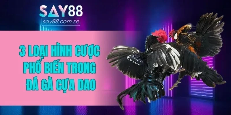3 loại hình cược phổ biến trong đá gà cựa dao