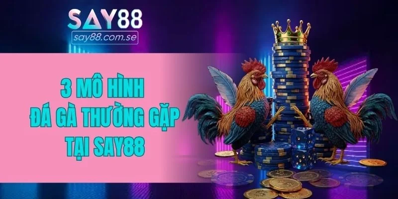 3 mô hình đá gà thường gặp tại SAY88