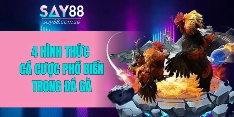 4 hình thức cá cược phổ biến trong đá gà