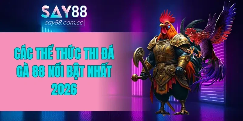 Các thể thức thi đá gà 88 nổi bật nhất 2026