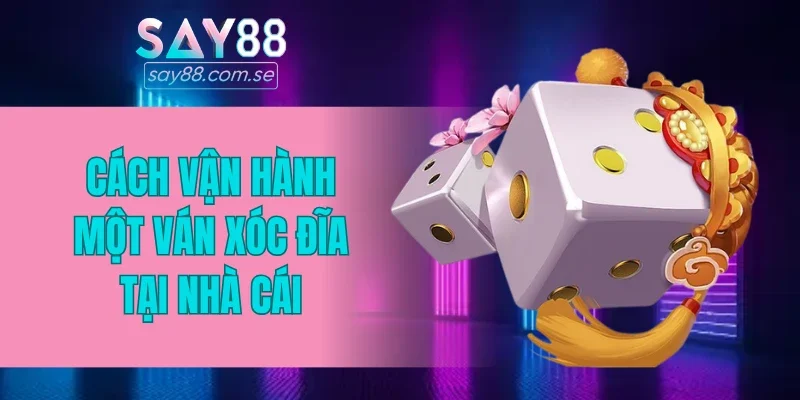 Cách vận hành một ván xóc đĩa tại nhà cái