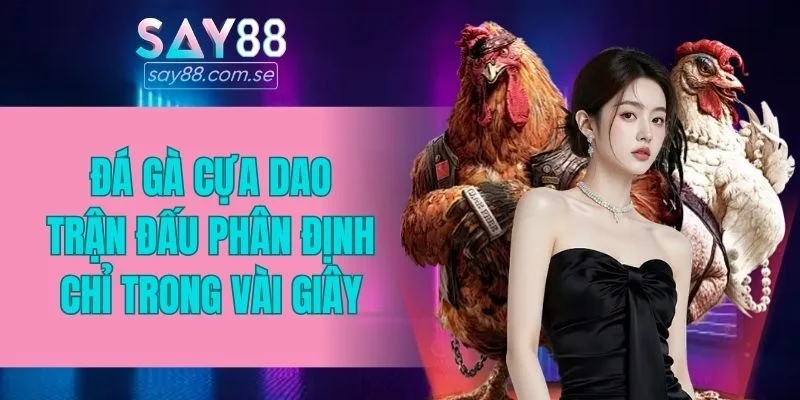 đá gà cựa dao