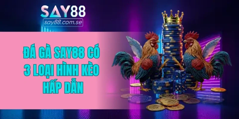 Đá gà SAY88 có 3 loại hình kèo hấp dẫn