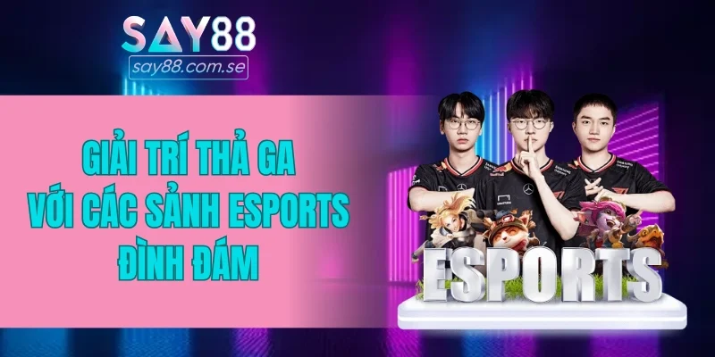 Giải trí thả ga với các sảnh Esports đình đám