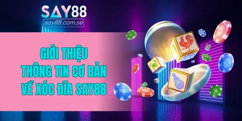 Giới thiệu thông tin cơ bản về xóc đĩa SAY88