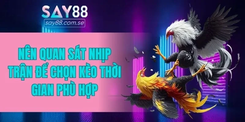 Nên quan sát nhịp trận để chọn kèo thời gian phù hợp
