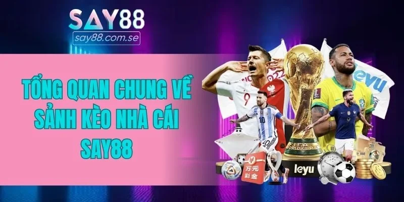 Tổng quan chung về sảnh kèo nhà cái SAY88